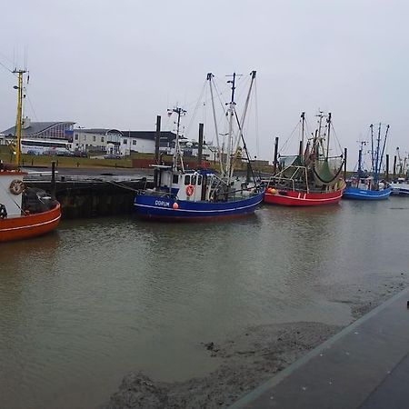 Nordsee Und Natur. Gemuetliche Fewo Mit Deichblick Dorumer Neufeld Extérieur photo