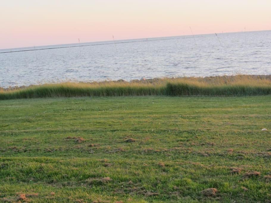 Nordsee Und Natur. Gemuetliche Fewo Mit Deichblick Dorumer Neufeld Extérieur photo
